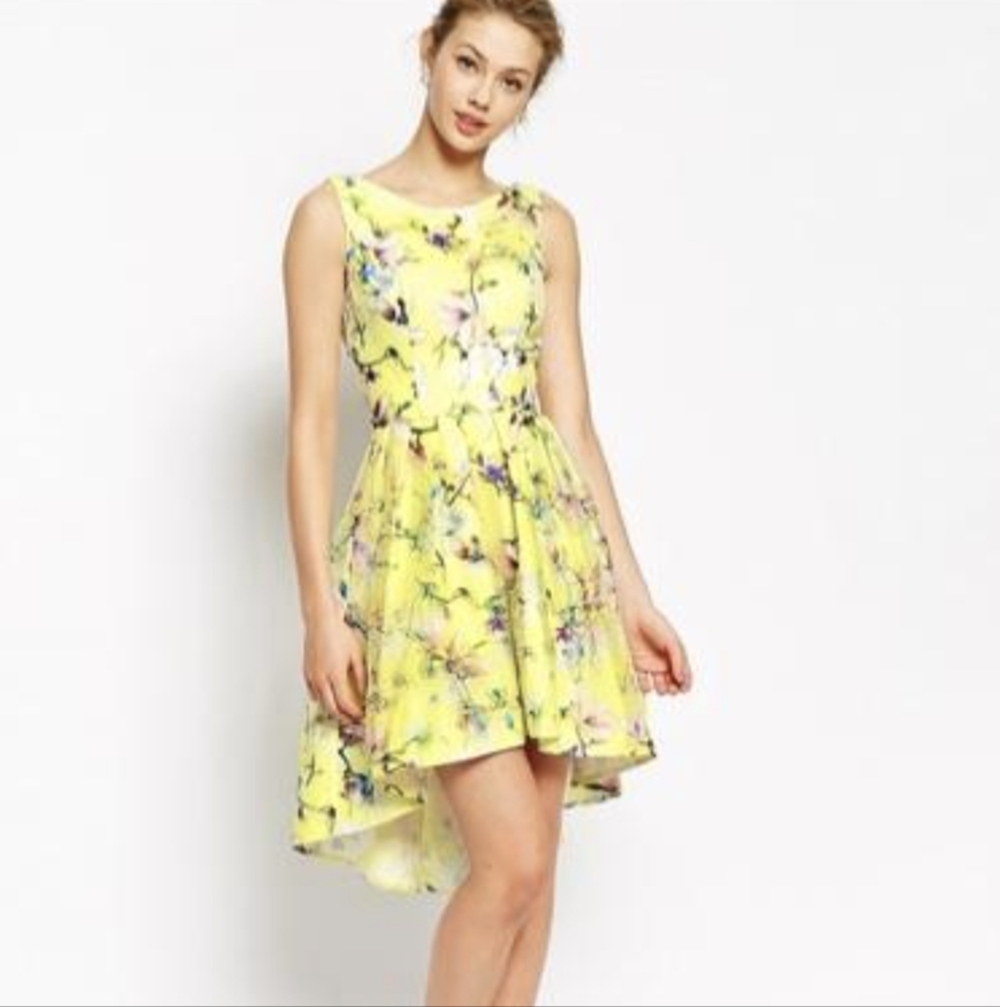 Eleanor Floral High-low Pleated Formal Dress in Yellow, Size Small